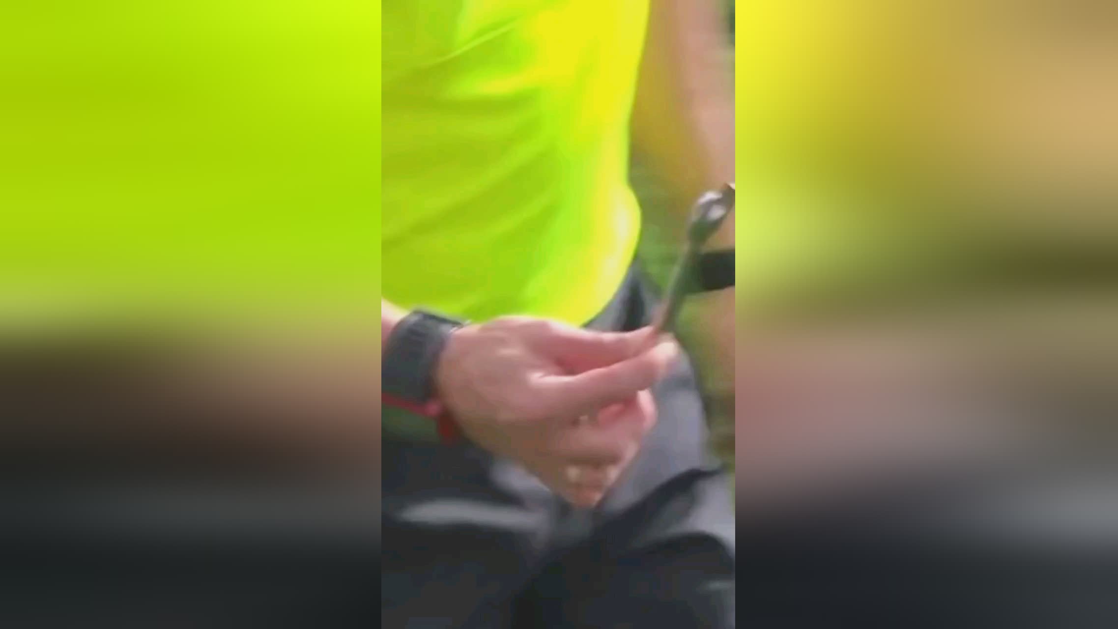 力的回